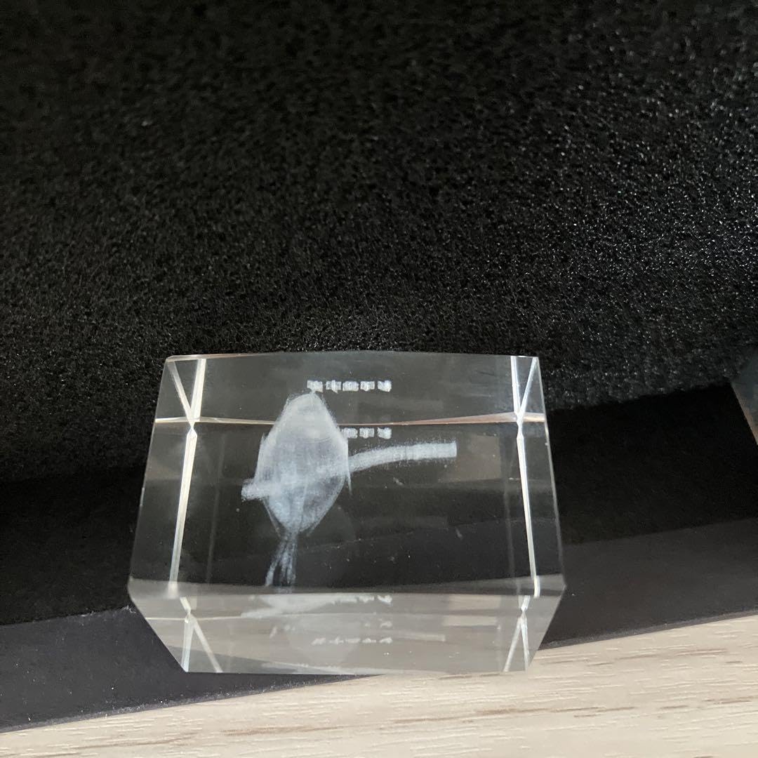 Amazon.co.jp: クリスタルオブジェ 3D シマエナガ ガラスアート